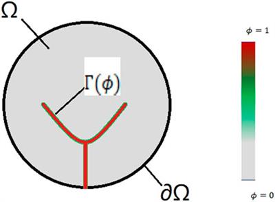 Accelerating fracture simulation with phase field methods based on Drucker-Prager criterion